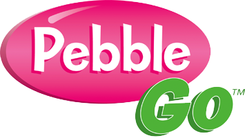 pebblego.png