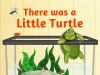 There_Was_a_Little_Turtle