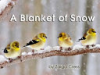 A_Blanket_of_Snow