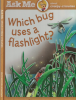 Which_bug_uses_a_Flashlight_