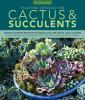 Planting_designs_for_cactus___succulents