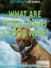 What_Are_Food_Chains___Food_Webs_