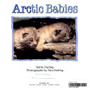 Arctic_babies