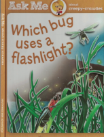 Which_bug_uses_a_Flashlight_