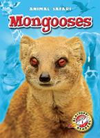 Mongooses