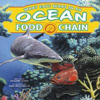 What_eats_what_in_an_ocean_food_chain_